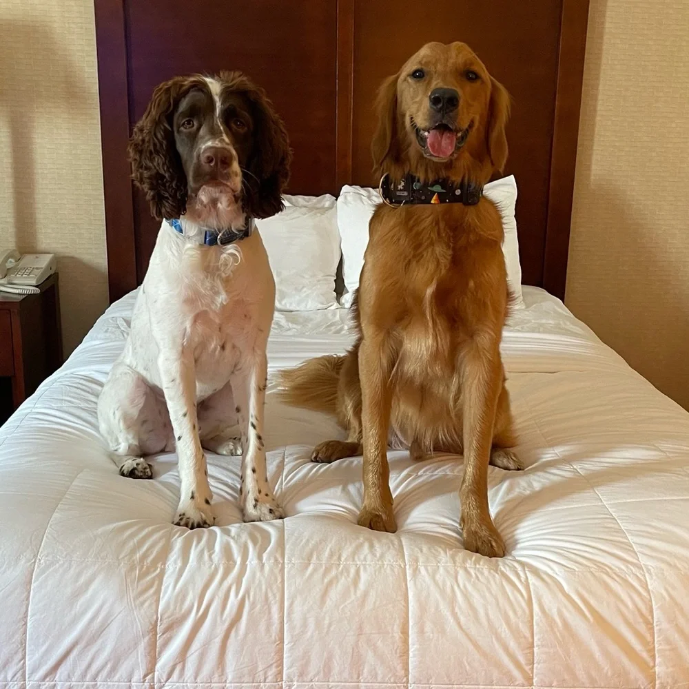 Welcome! - Picture 3 of 6